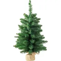 Magic Home Baum MagicHome Weihnachten Leo, Tanne in Jute, extra dicht, 60 cm