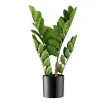 Möbel Kraft Zamifolia getopft , grün , Kunststoff , Maße (cm): H: 45