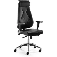 Mayer Bürostuhl MAYER SITZMÖBEL, schwarz (schwarz, alu poliert, schwarz), B:66cm H:132cm T:67cm, Stühle, Bürostuhl, "myBESTMIND"