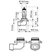 Philips 1x H10 Nebelscheinwerfer Glühlampen 12V 42W 9145C1