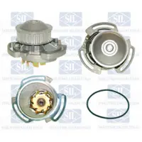 Saleri SIL Wasserpumpe PA278P