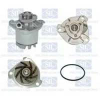 Saleri SIL Wasserpumpe PA847