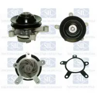 Saleri SIL Wasserpumpe PA105P