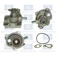 Saleri SIL Wasserpumpe PA510