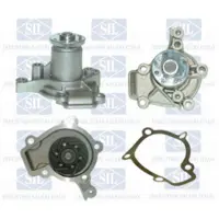 Saleri SIL Wasserpumpe PA1078