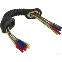 HERTH+BUSS ELPARTS ELPARTS Reparatursatz Kabelbaum Heckklappe 51277020 Links für VW Golf V Schrägheck (1K1)