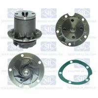 Saleri SIL Wasserpumpe PA239