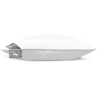 Heckett & Lane Spitzkissen Platinum Daunen
