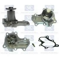 Saleri SIL Wasserpumpe PA1313