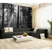 Papermoon Vlies- Fototapete Digitaldruck 350 x 260 cm Forrest morning in black & white GLO769559087