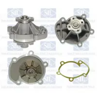 Saleri SIL Wasserpumpe PA469