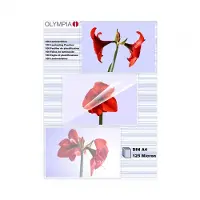 Olympia 9185, Transparent, A4, 429 mm, 19 mm, 306 mm, 525 g